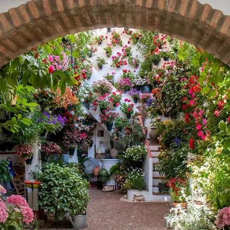 Nuevo!! Loft Apartamento *